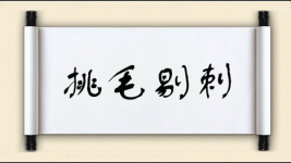 挑毛剔刺图片