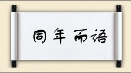 同年而语图片