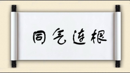 同气连根图片