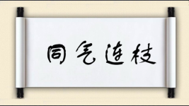 同气连枝图片