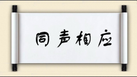同声相应图片