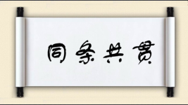 同条共贯图片