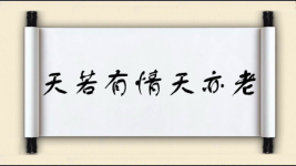天若有情天亦老图片