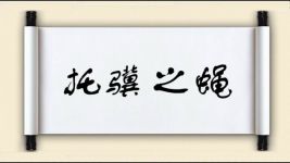 托骥之蝇图片