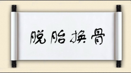 脱胎换骨图片