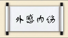 外感内伤图片