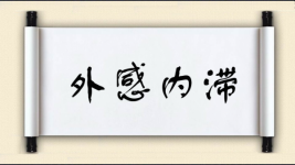 外感内滞图片
