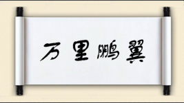 万里鹏翼图片