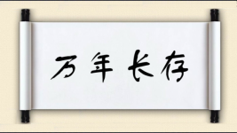 万年长存图片