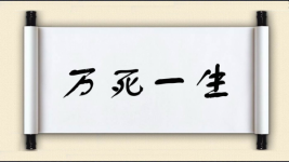 万死一生图片