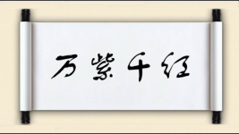万紫千红图片