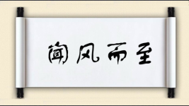闻风而至图片