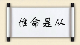 惟命是从图片