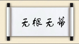 无根无蒂图片
