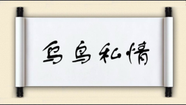 乌鸟私情图片