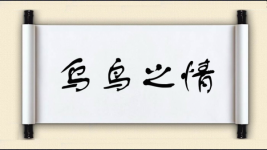 乌鸟之情图片