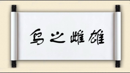 乌之雌雄图片