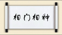 相门相种图片
