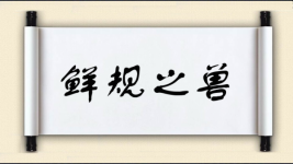 鲜规之兽图片