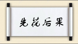 先花后果图片