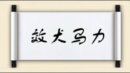 效犬马力图片