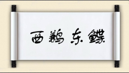 西鹣东鲽图片