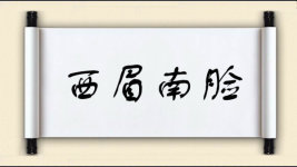 西眉南脸图片