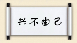 兴不由己图片