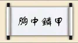 胸中鳞甲图片