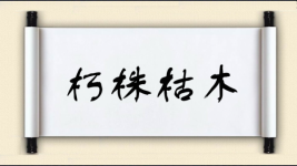 朽株枯木图片