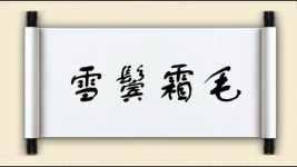 雪鬓霜毛图片