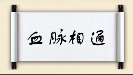 血脉相通图片