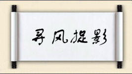 寻风捉影图片