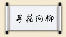 寻花问柳图片