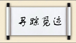 寻踪觅迹图片