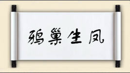 鸦巢生凤图片