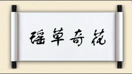 瑶草奇花图片