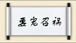 要宠召祸图片