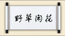 野草闲花图片