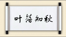 叶落知秋图片