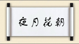 夜月花朝图片