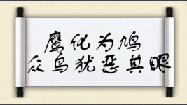 鹰化为鸠，众鸟犹恶其眼图片