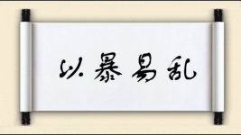 以暴易乱图片