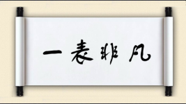 一表非凡图片