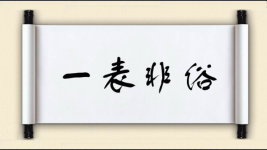 一表非俗图片