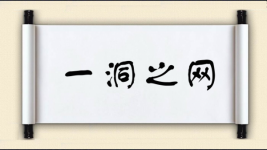 一洞之网图片