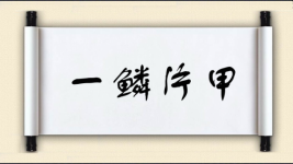 一鳞片甲图片