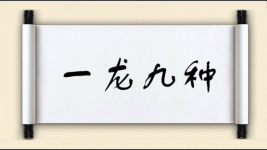 一龙九种图片