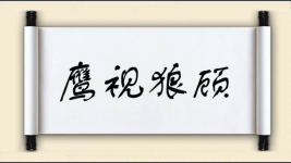 鹰视狼顾图片
