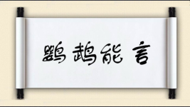 鹦鹉能言图片